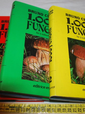 Cetto Bruno - 1000 funghi - 3 volumi editrice Erpi