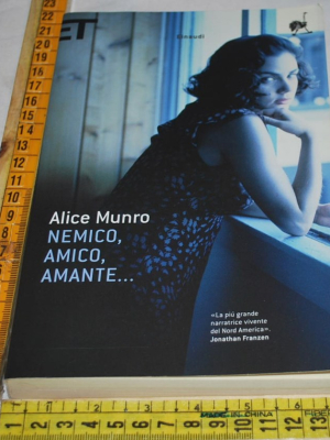 Munro Alice - Nemico