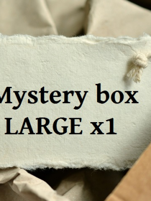 Mystery box LARGE x01