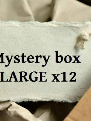Mystery box LARGE x12