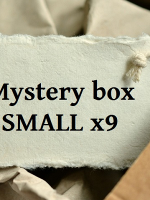 Mystery box SMALL x09